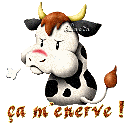 ça m'enerve!!!!!!
